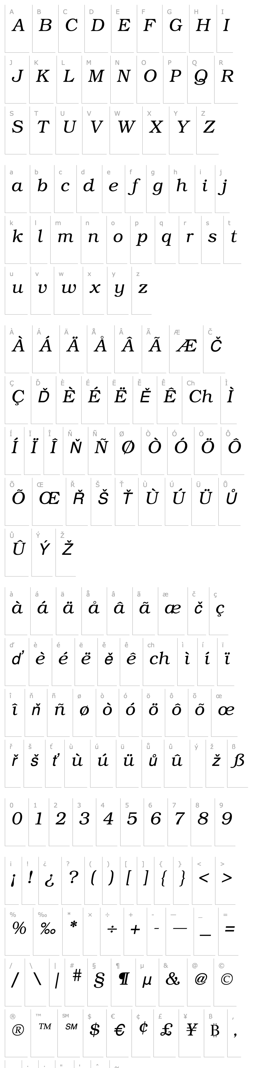 Overview Bookman Light Italic