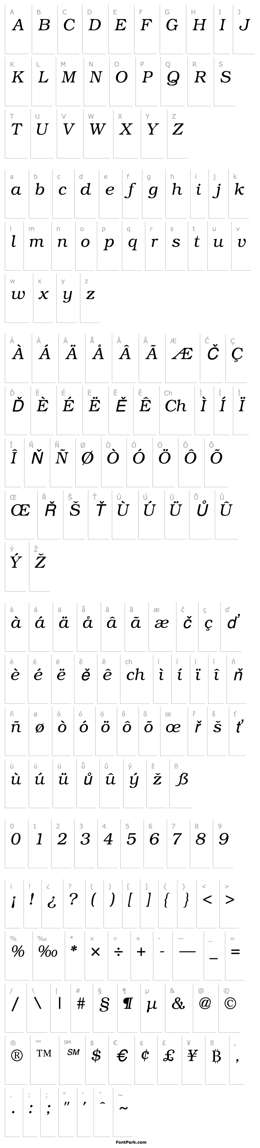 Overview BookmanLightSSK Italic