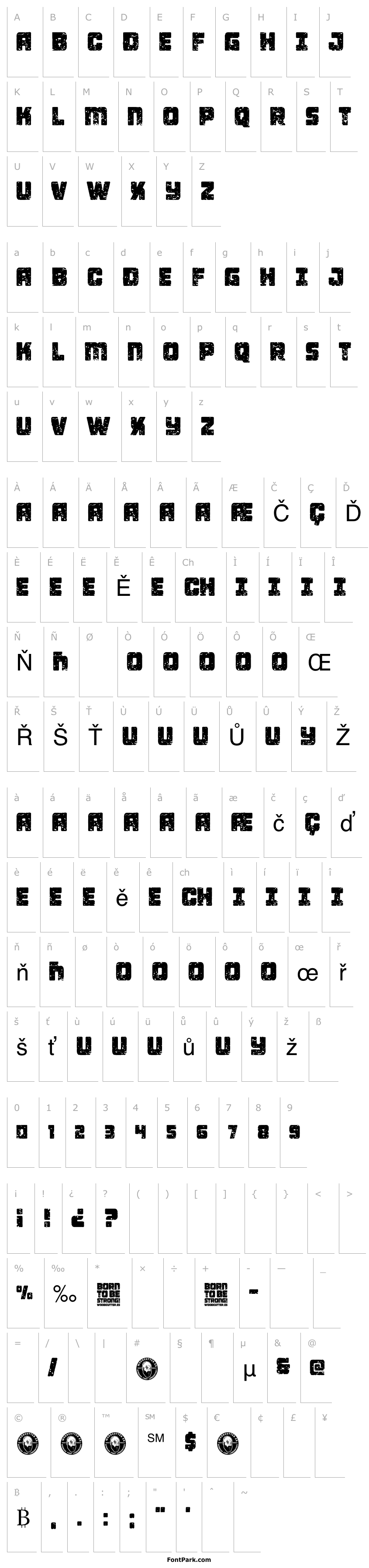 Overview Born To be Strong!