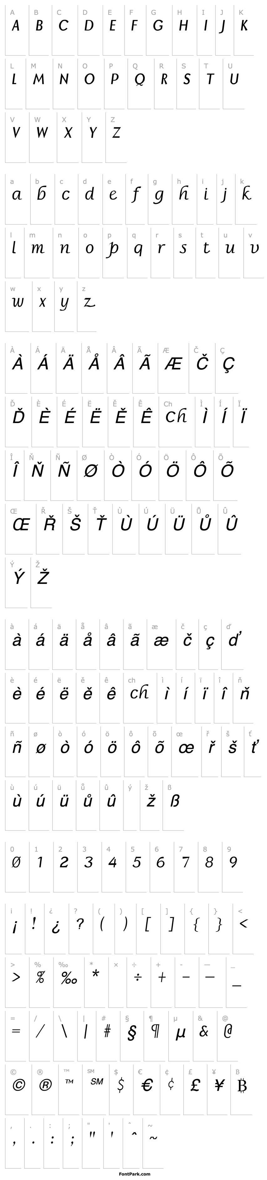 Přehled Borror Italic