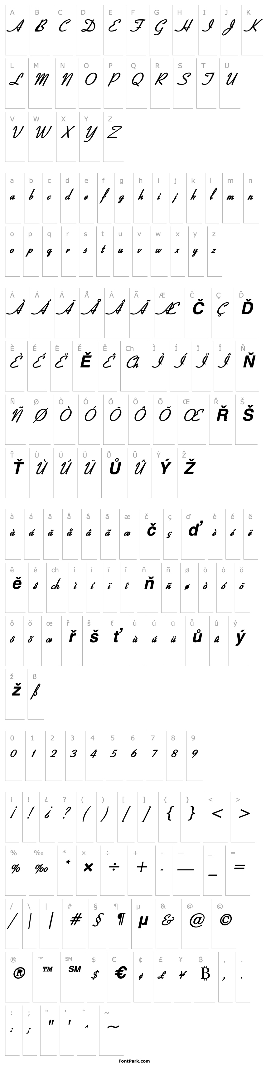 Overview Bow Bold Italic