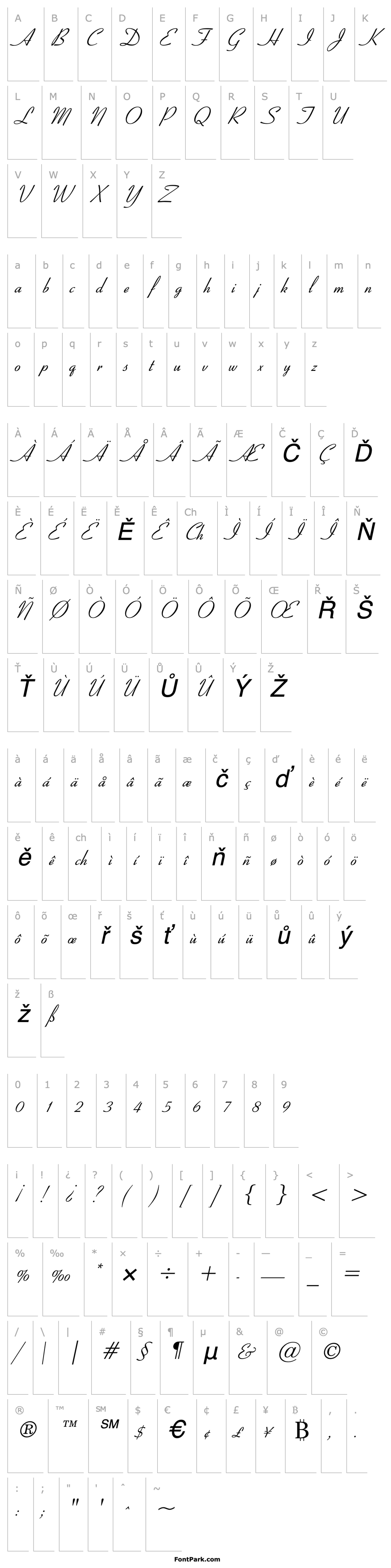 Overview Bow Italic