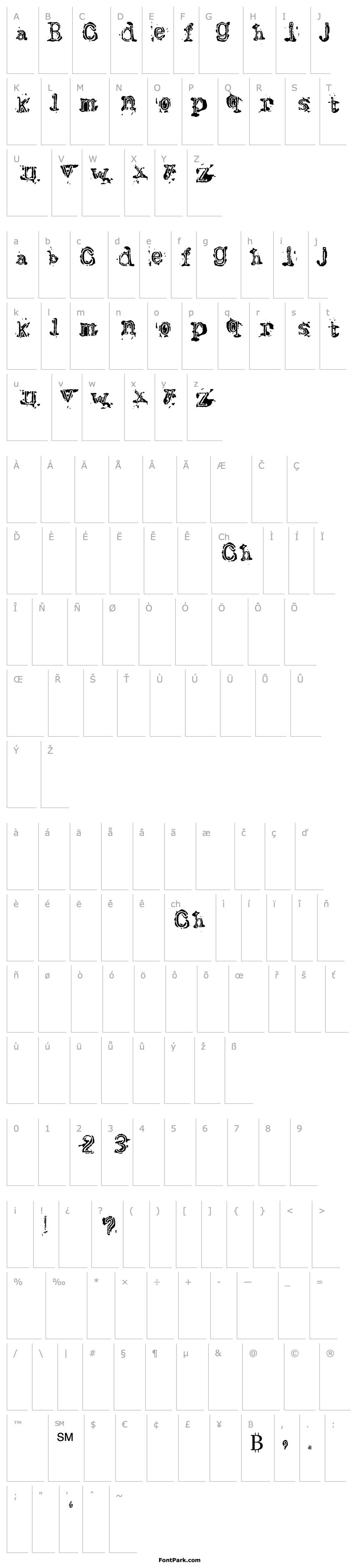 Overview Bracille