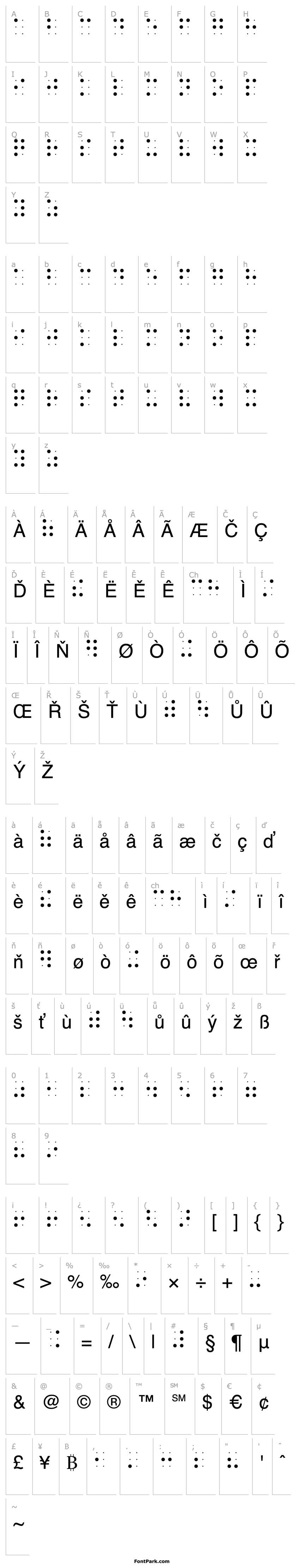 Overview Braile font