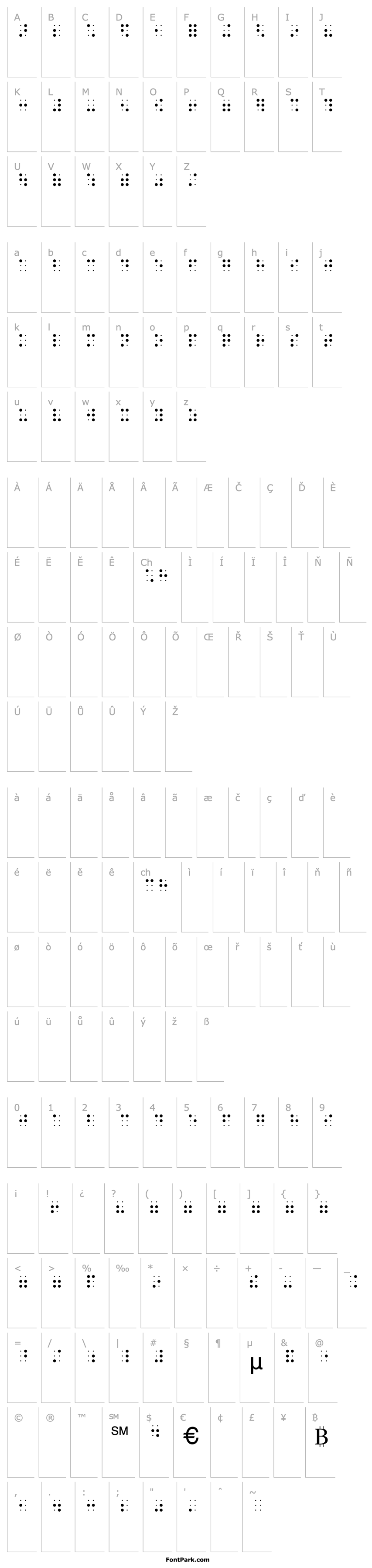 Overview Braille-HC