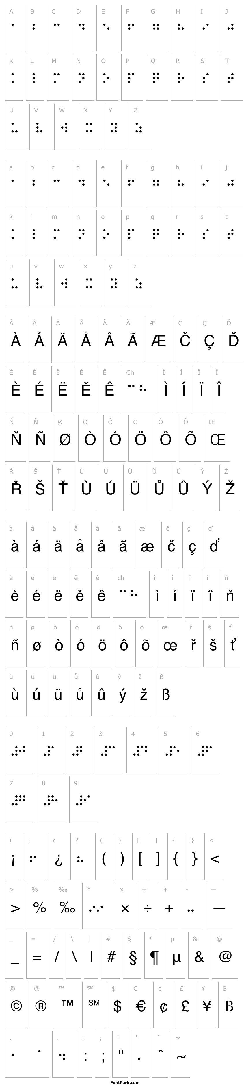 Overview Braille Regular