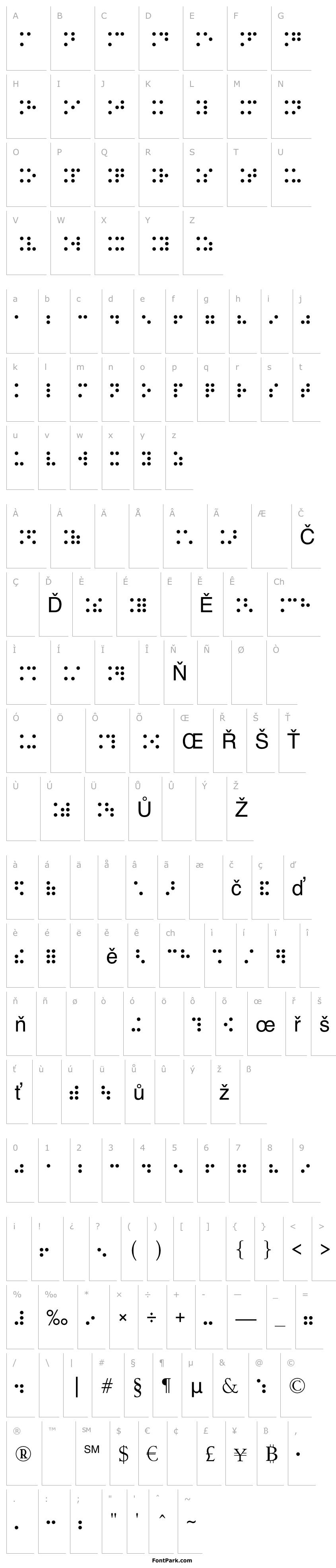 Přehled Braille Type