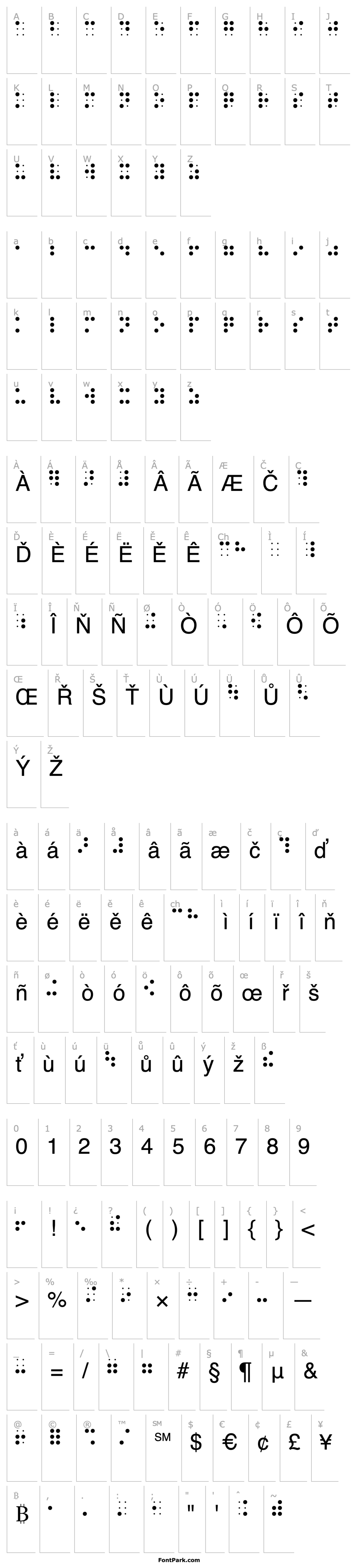 Overview BrailleBQ