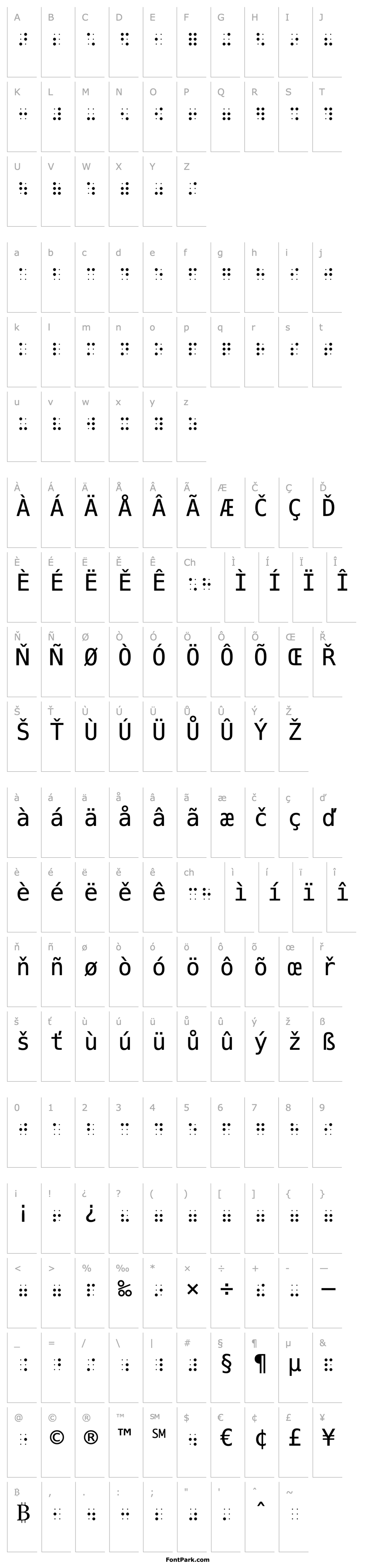 Overview BrailleHC