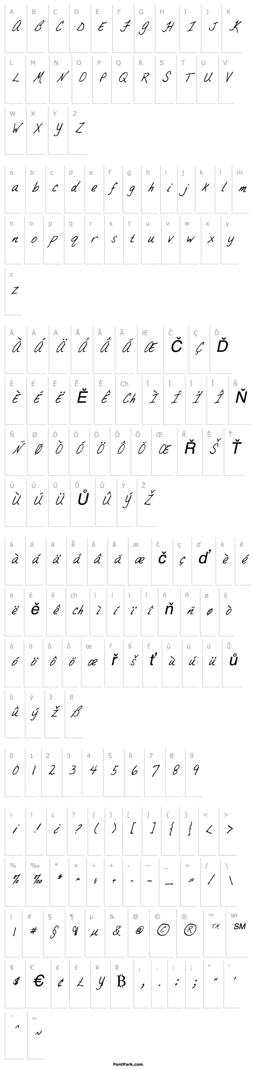 Overview BrandysHand Italic