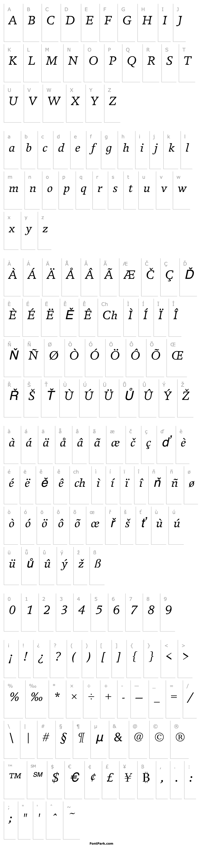 Overview BreughelT Italic