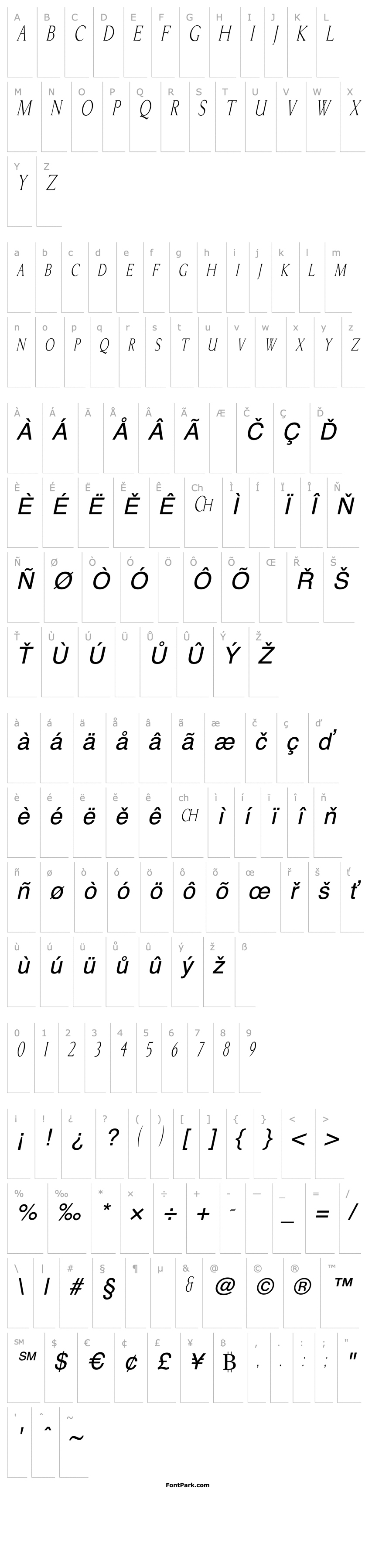 Overview BriceCondensed Italic