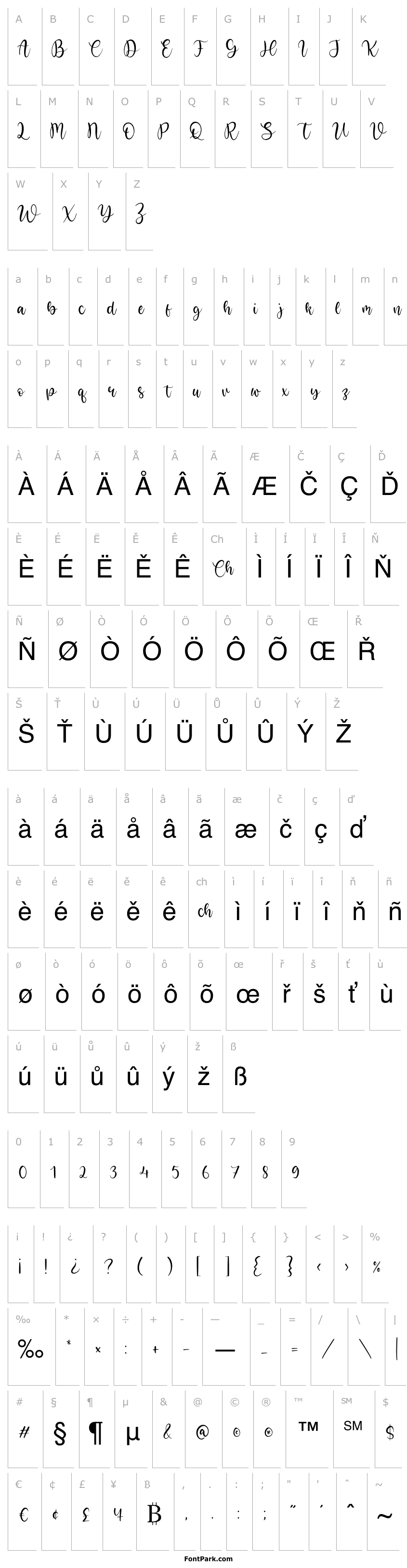 Overview Bright Violet