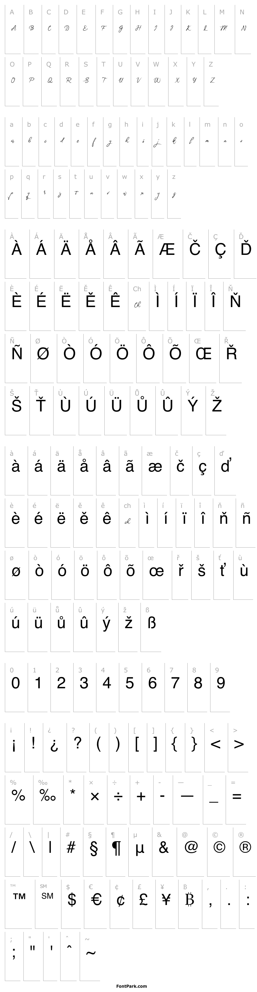 Overview BrightnesSignature