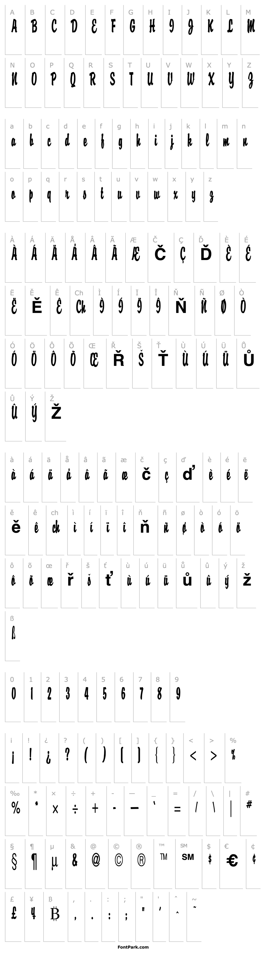 Overview Brisk D Thin Bold