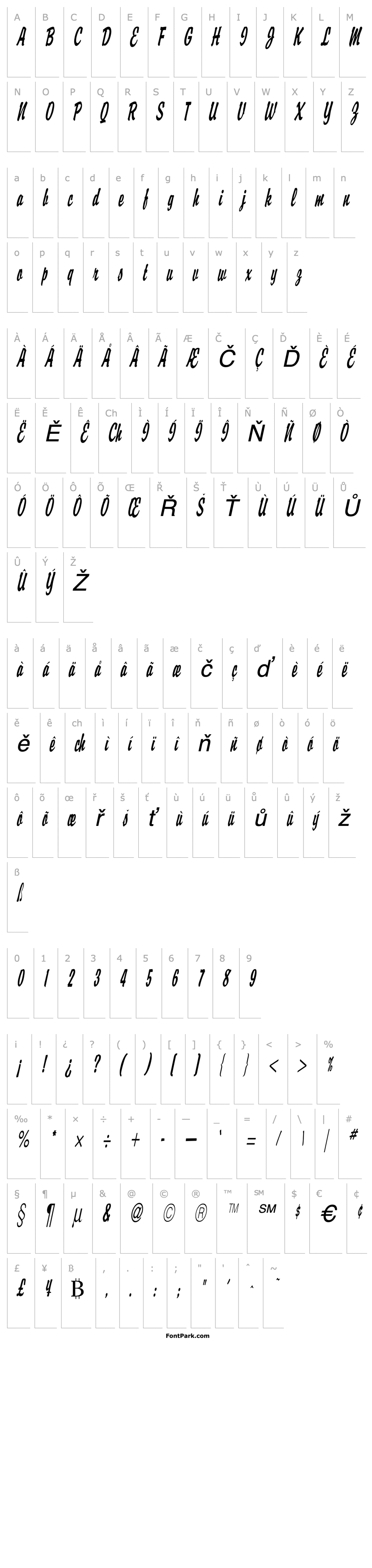 Overview Brisk D Thin Italic