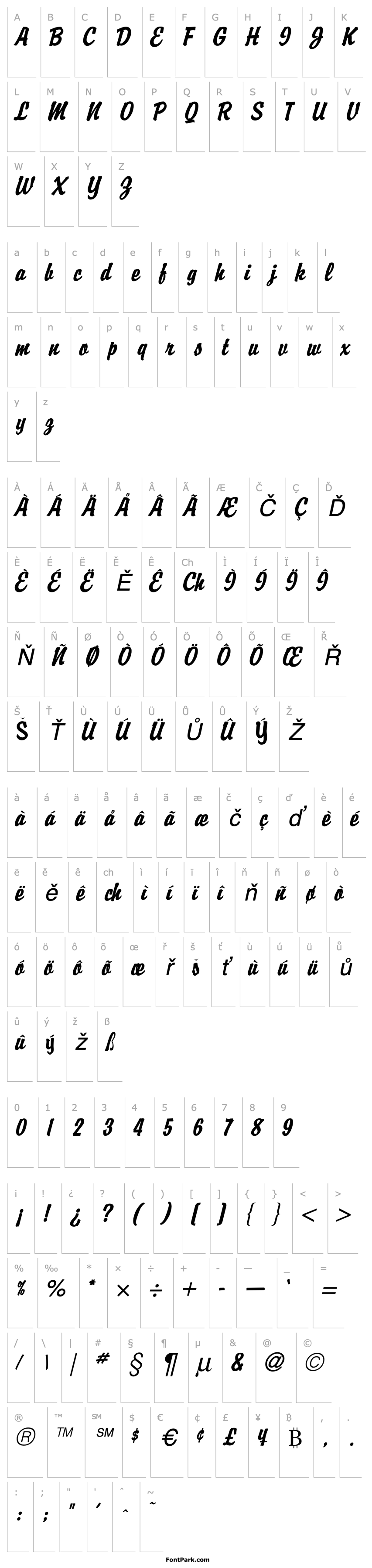 Přehled Brisk Extended Italic