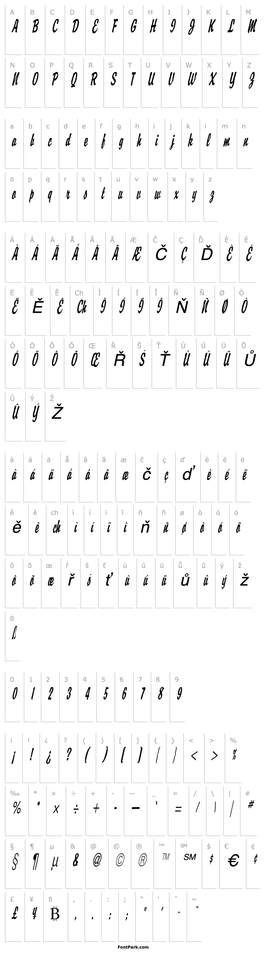 Overview Brisk Thin Italic