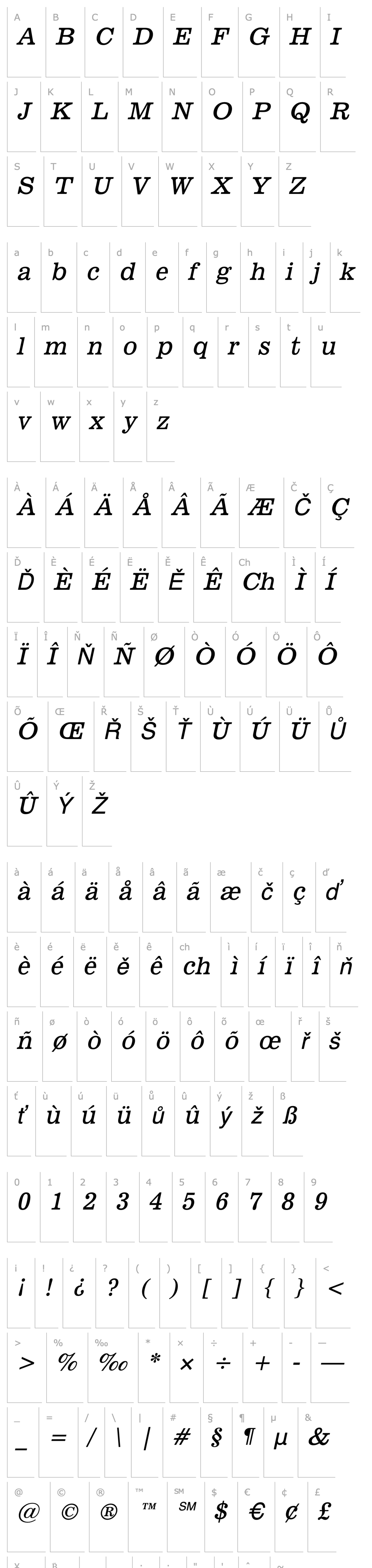 Overview Broadcast Italic