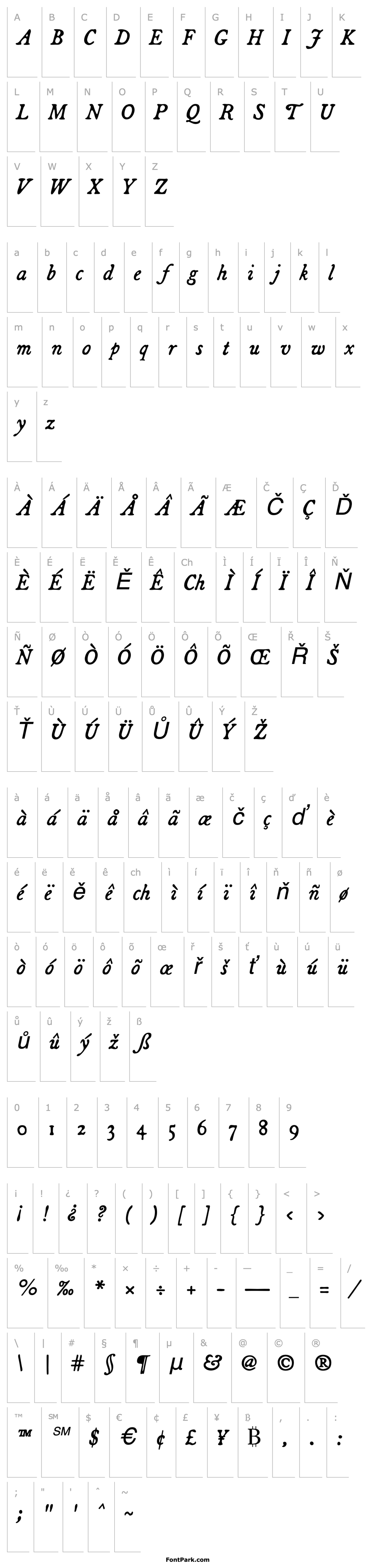 Přehled Broadsheet-Italic