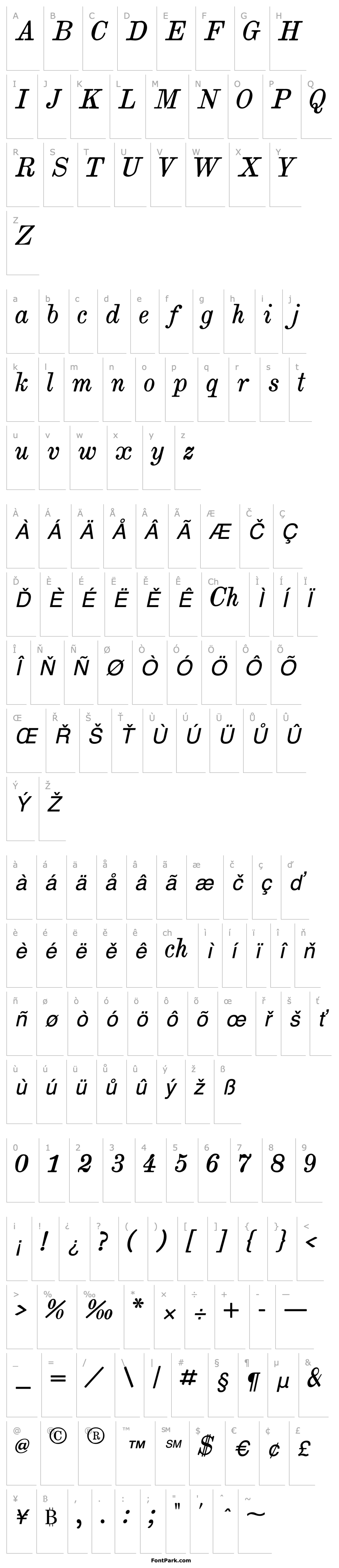 Overview Brokgauz & Efron Italic