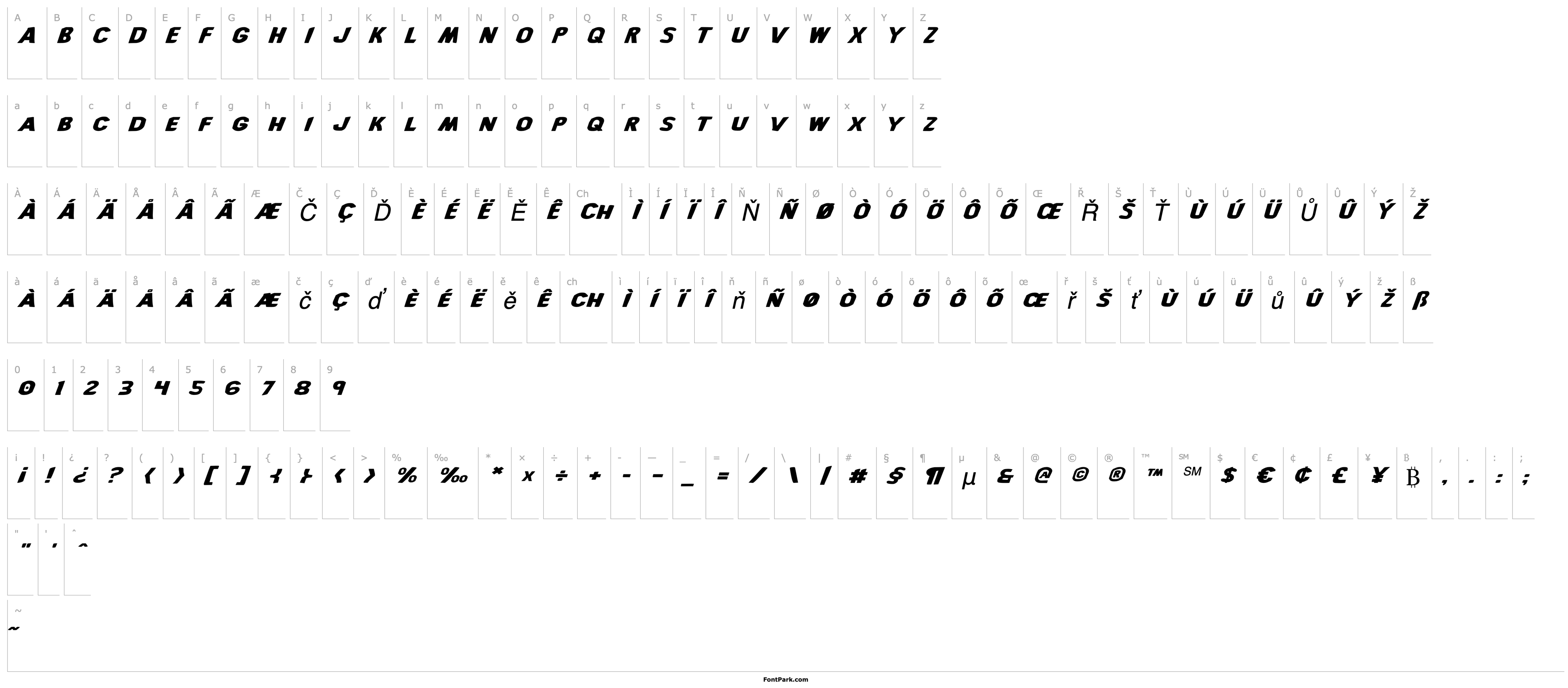 Overview Bronic Expanded Italic