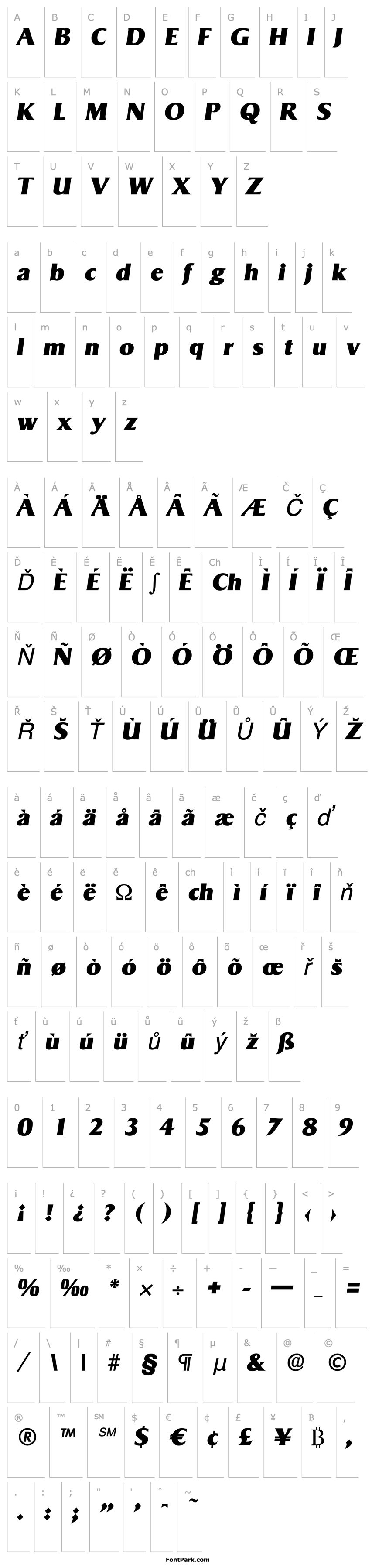 Přehled BruceBecker-Heavy Italic