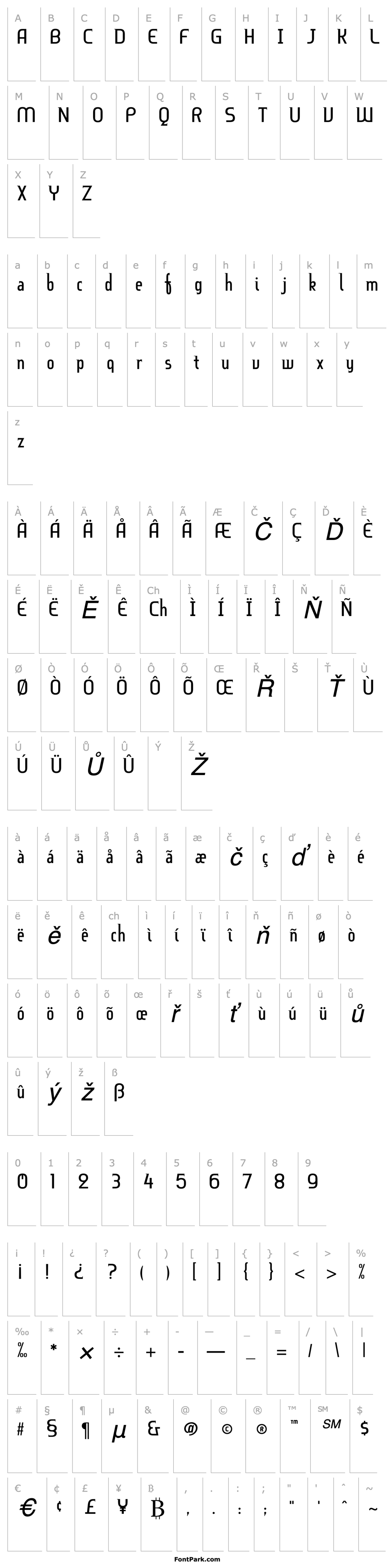 Overview BruhnScript Italic