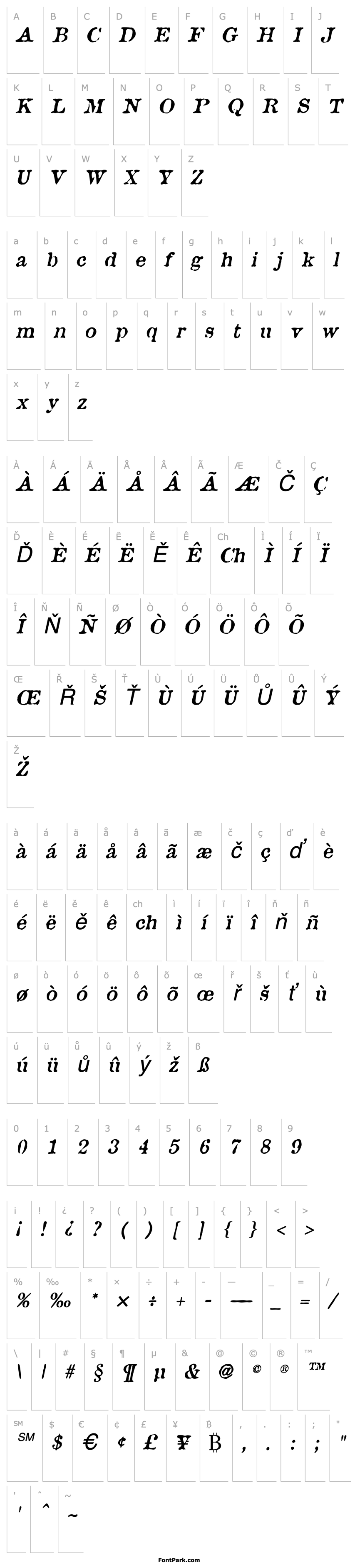 Overview Brunine Italic