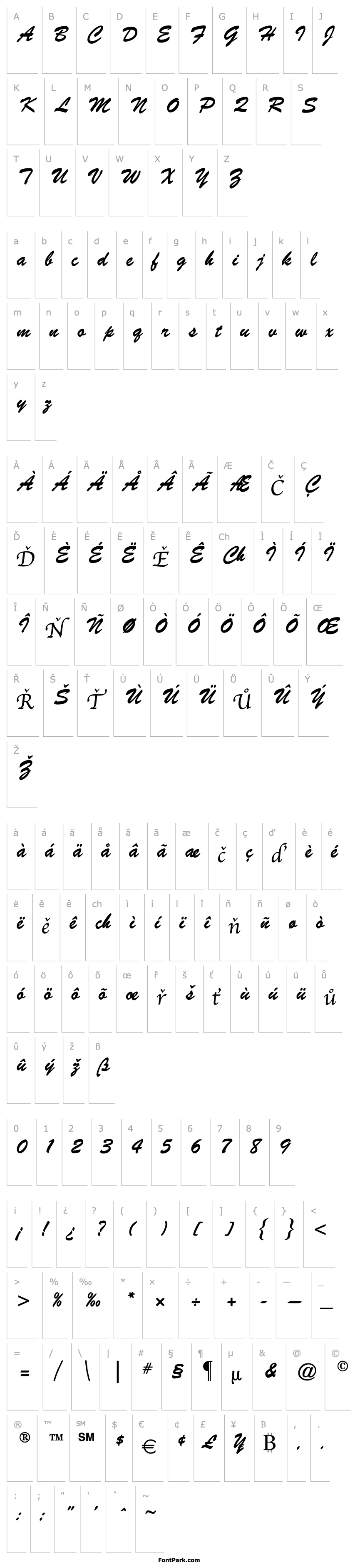 Overview Brush Script Bold