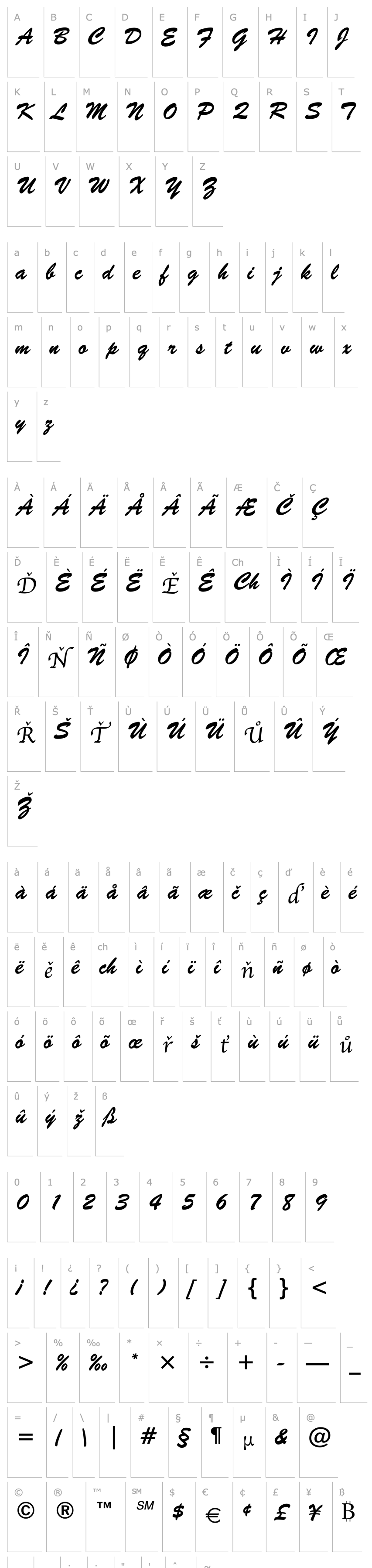 Overview Brush Script BT