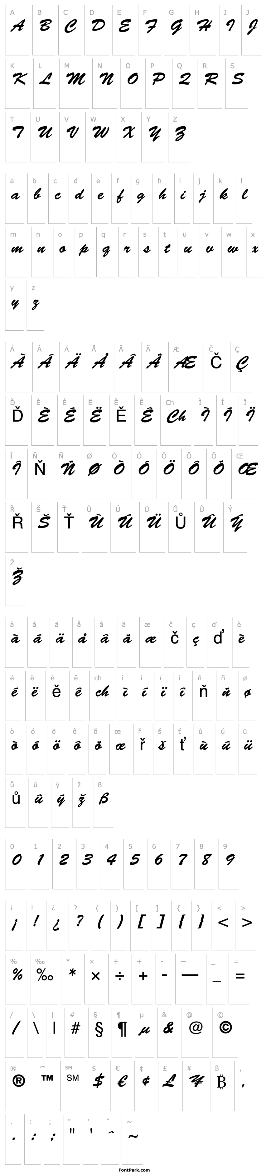 Overview Brush Script LT