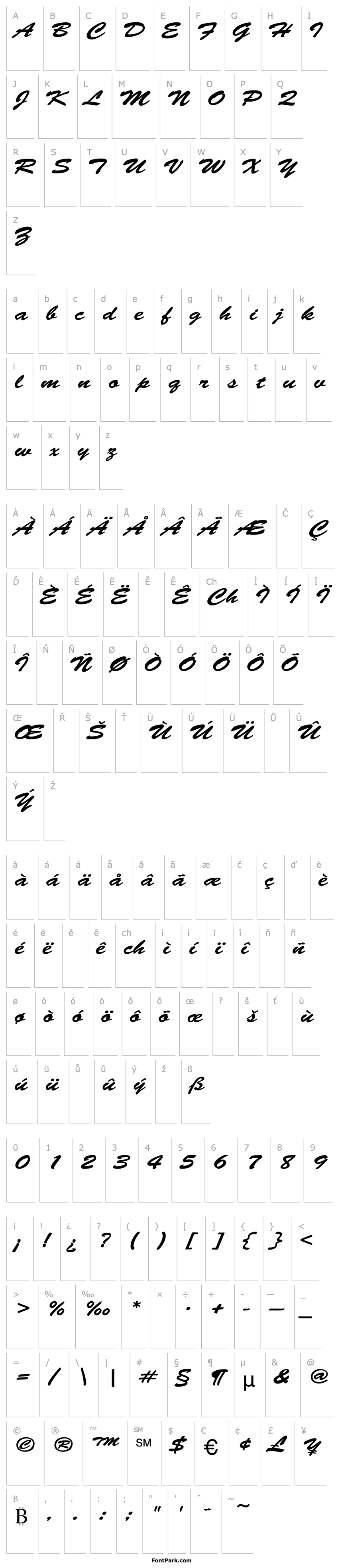 Přehled Brush-Script Wide