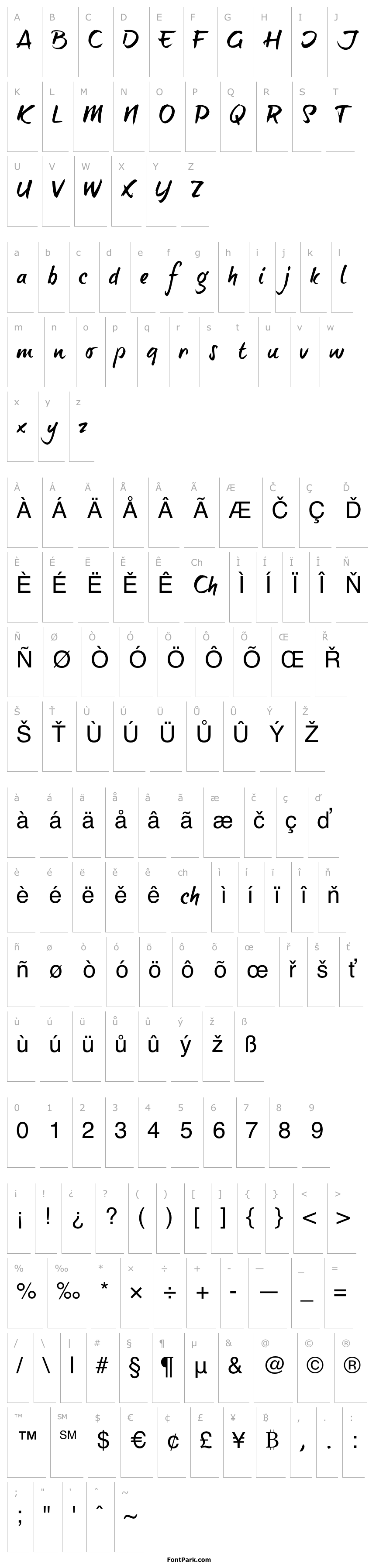 Overview brush-tipTerrence