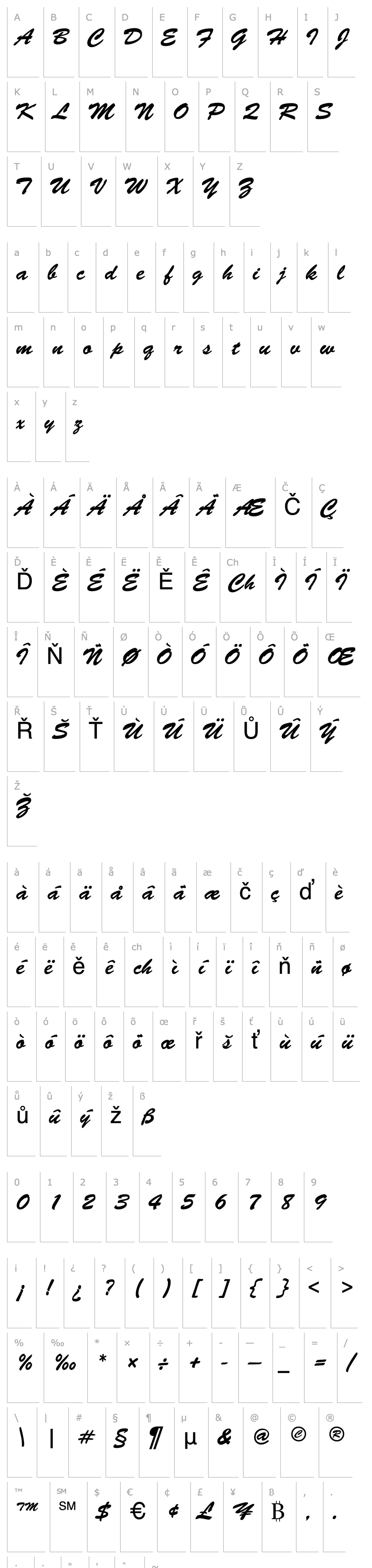 Přehled BrushedScript