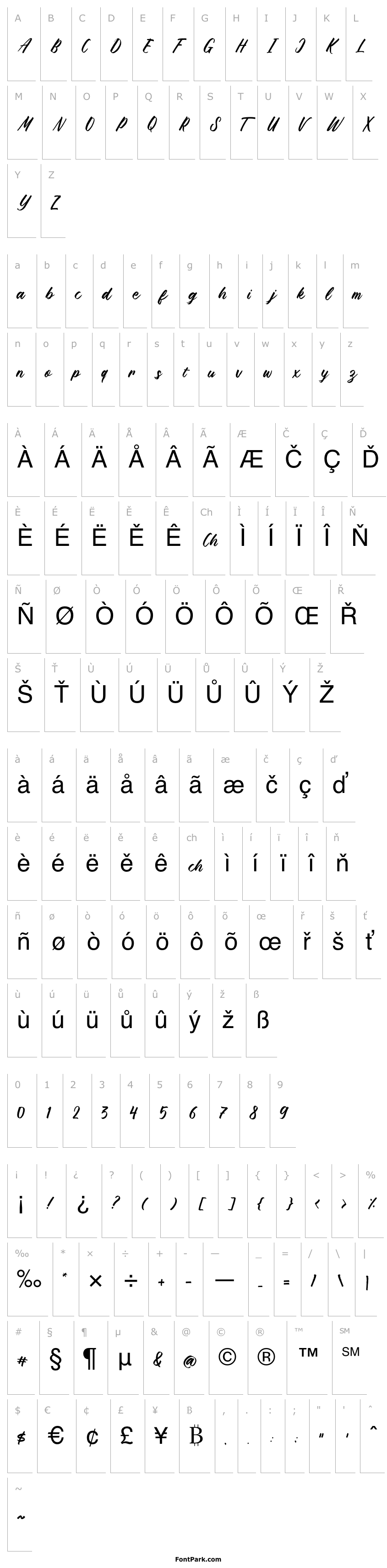 Overview Brushpen Story Regular