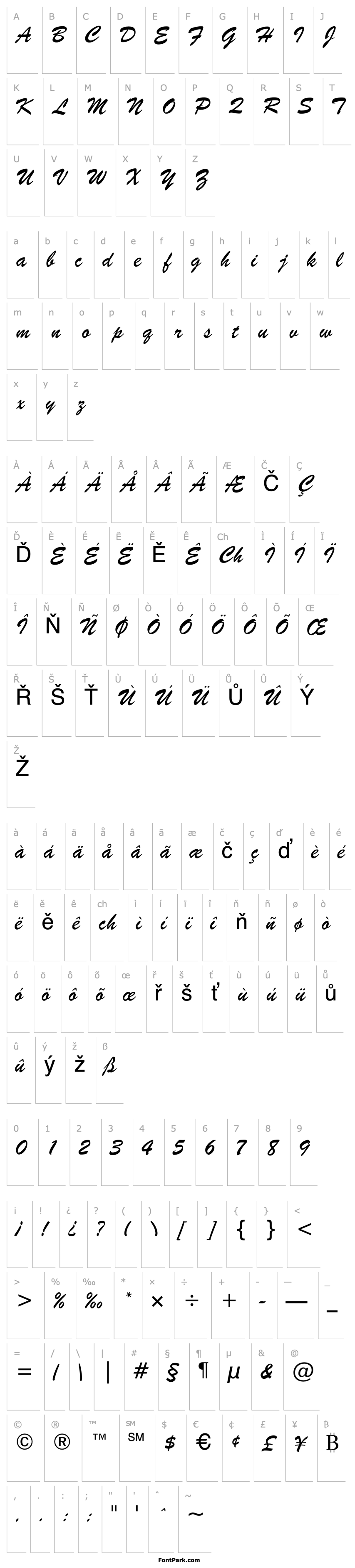 Overview BrushScriptSW Light