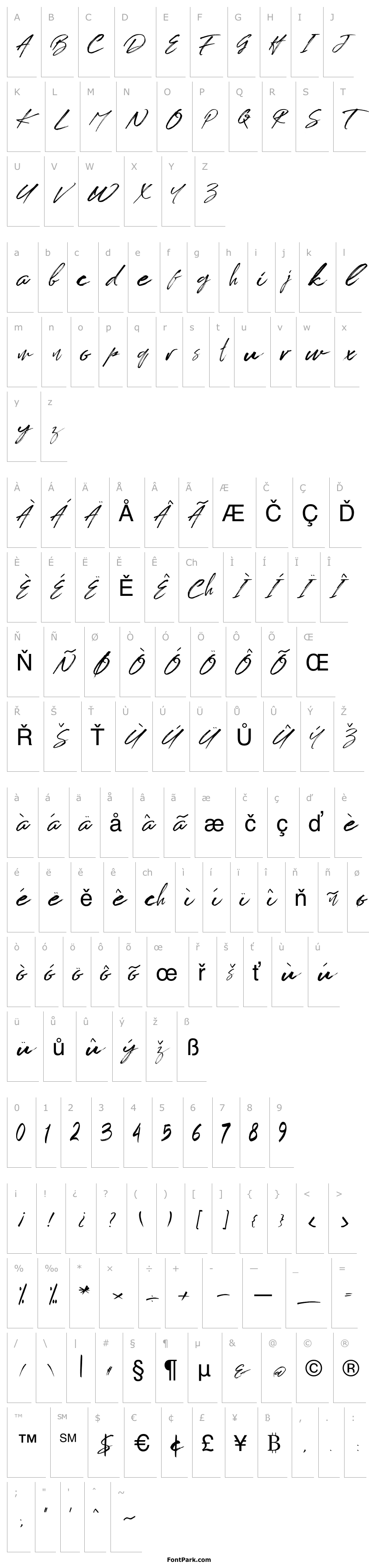 Overview BRUSHTANGSE