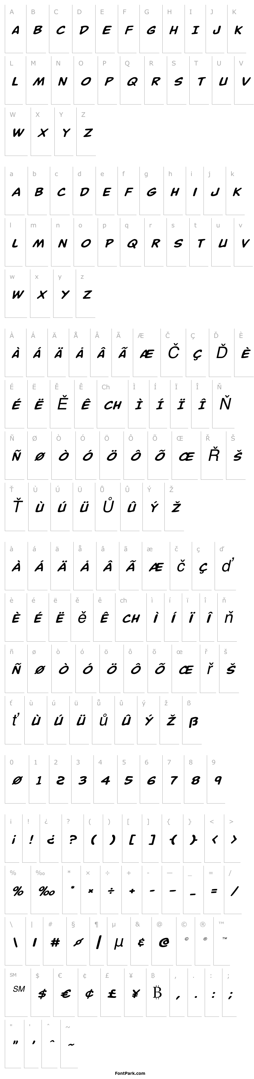 Přehled Buddy Champion Expanded Italic