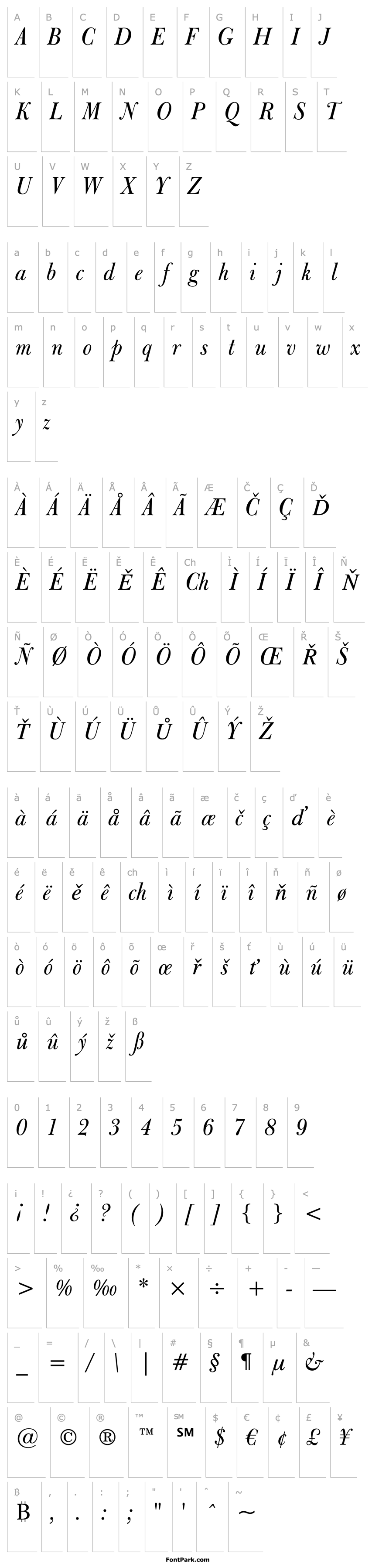 Přehled Bulmer BT Italic