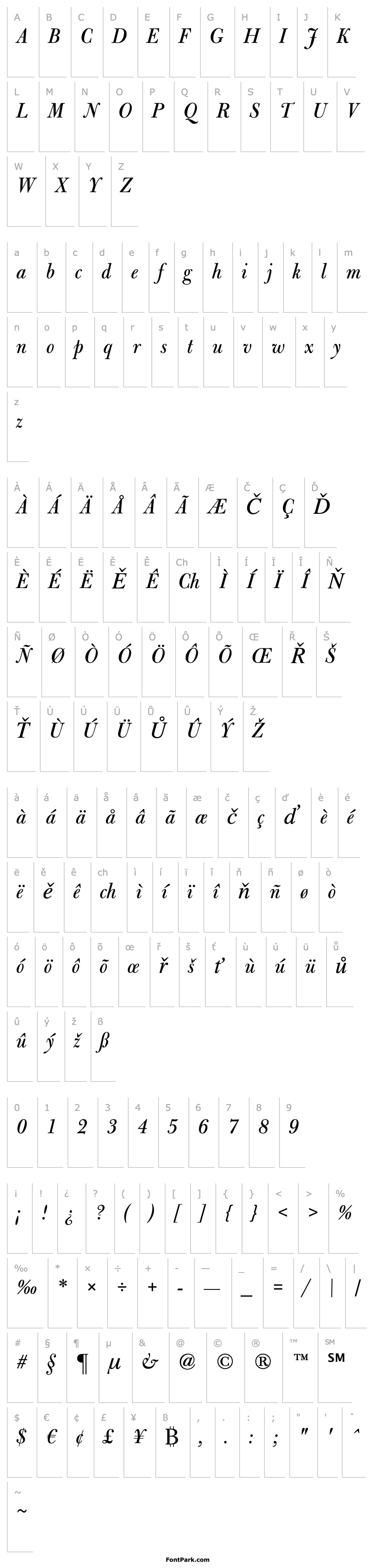 Přehled Bulmer MT Display Italic