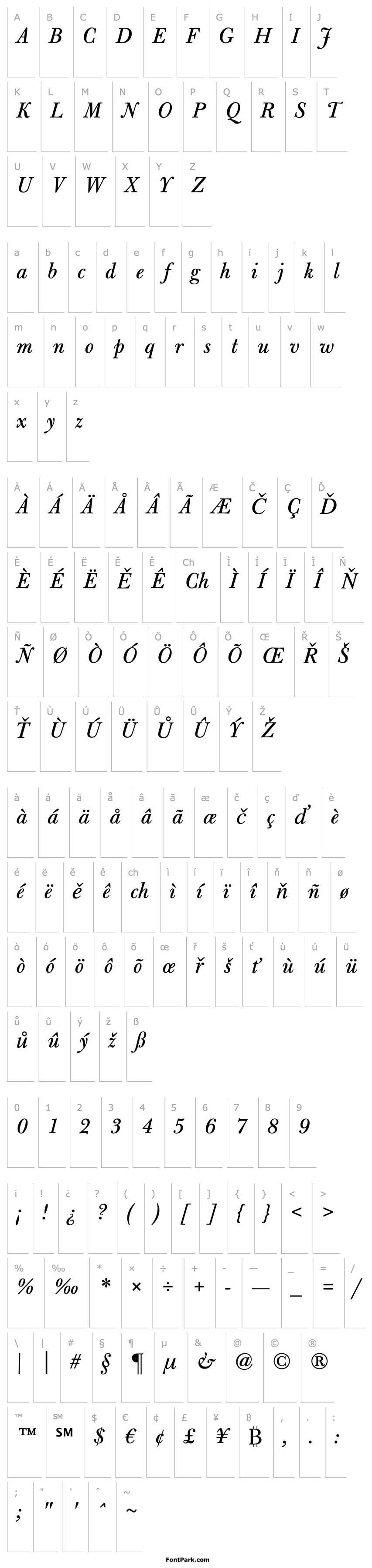 Overview Bulmer MT Italic