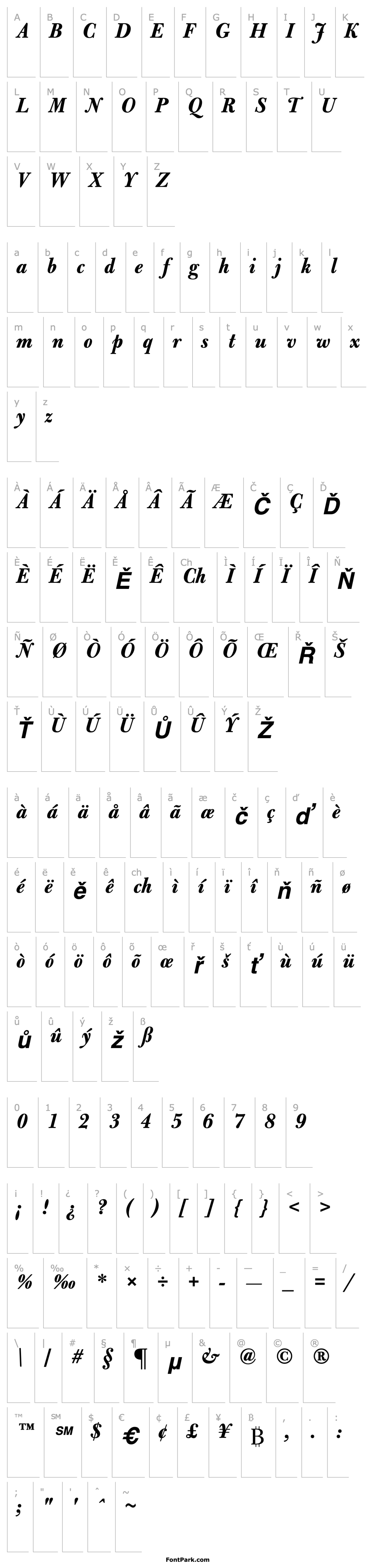 Přehled BulmerMTDisplay-Bold Italic