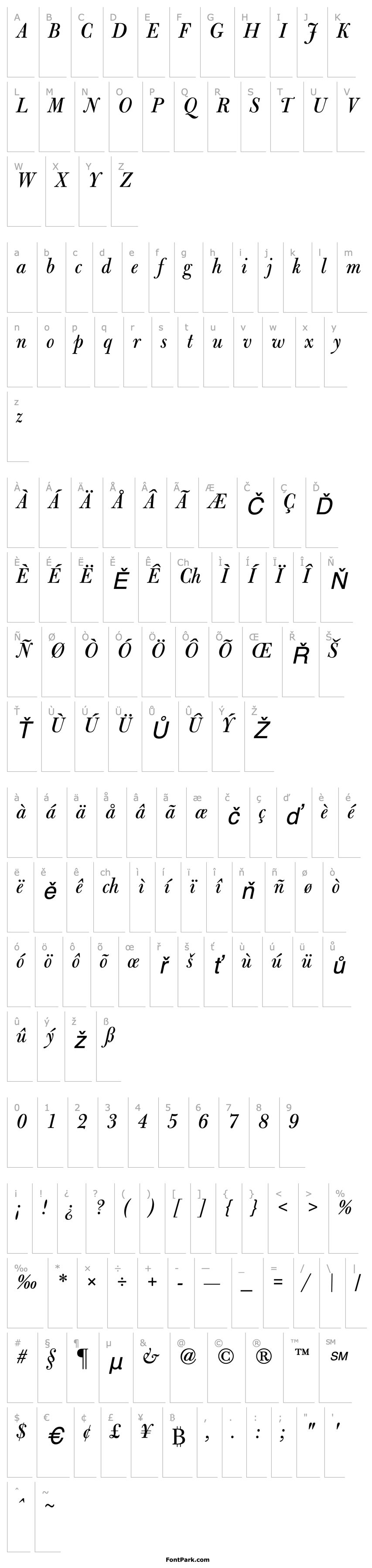 Přehled BulmerMTDisplay-Italic