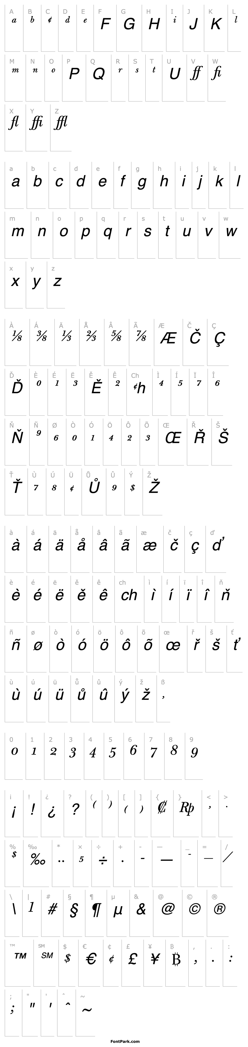 Přehled BulmerMTExpert-Italic