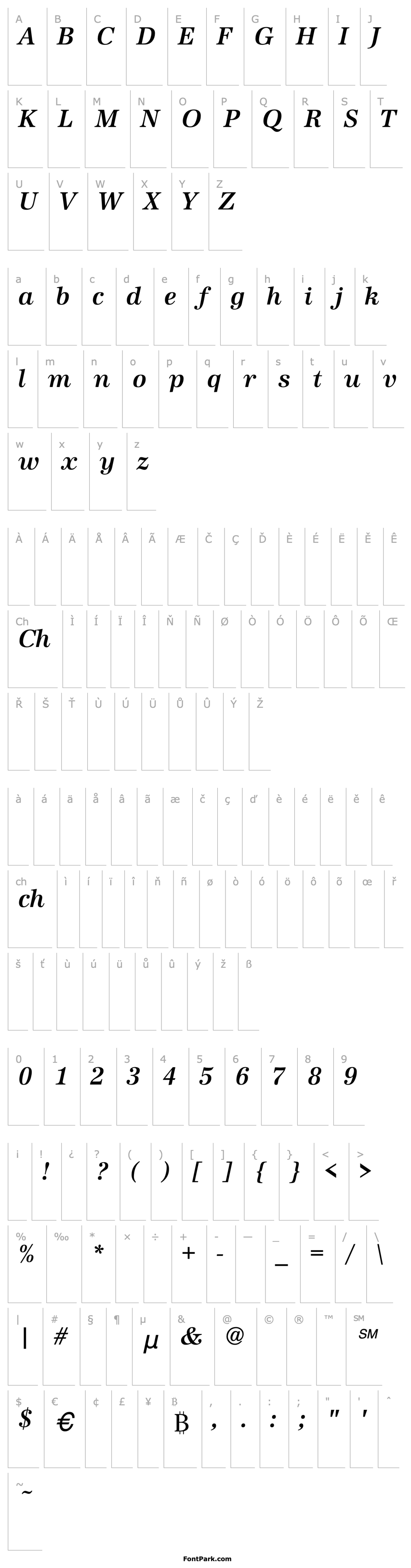 Přehled Burgundian Medium Italic 