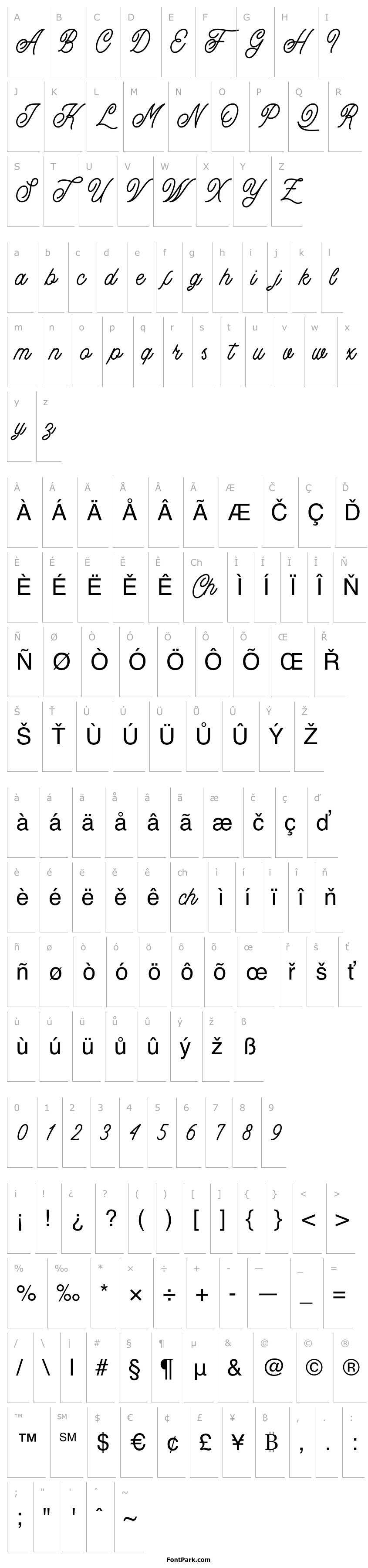 Overview Buryland Script Regular DEMO