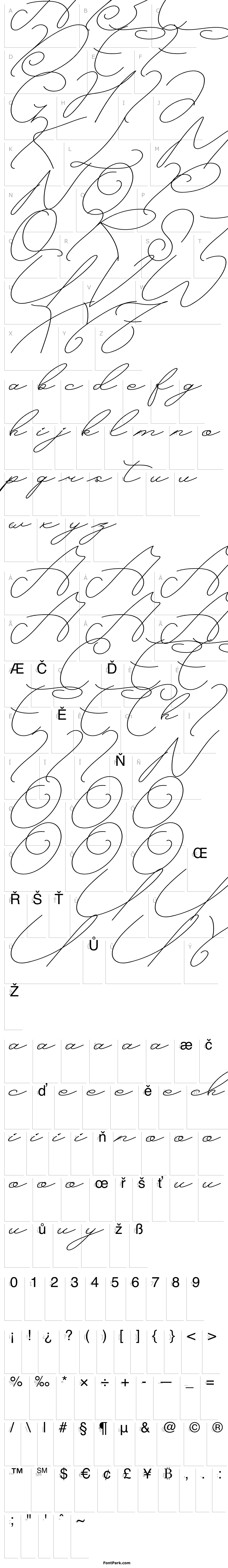 Overview Butterlies Demo