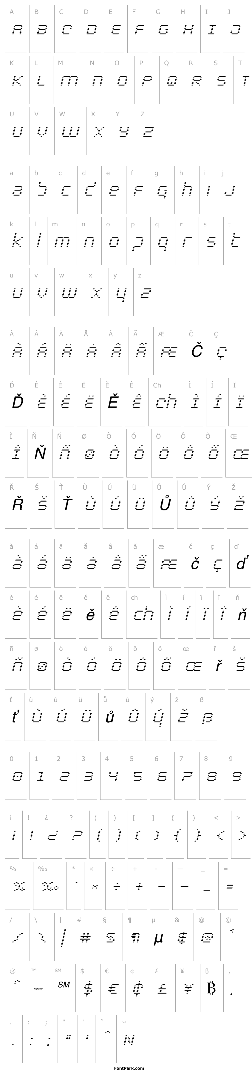 Overview Byte Police Italic