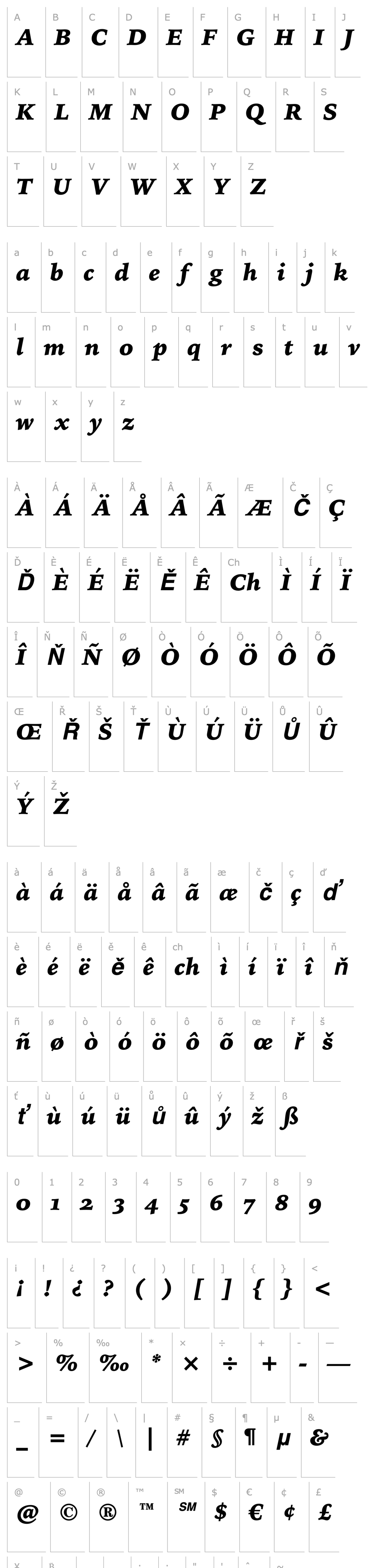 Overview IowanOldStyleOSFBT-BlackItalic